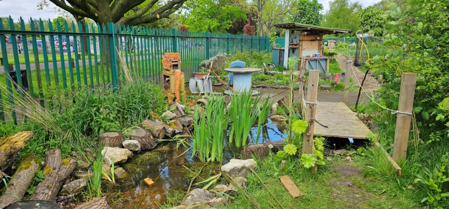 Manchester Urban Diggers tranquil garden image